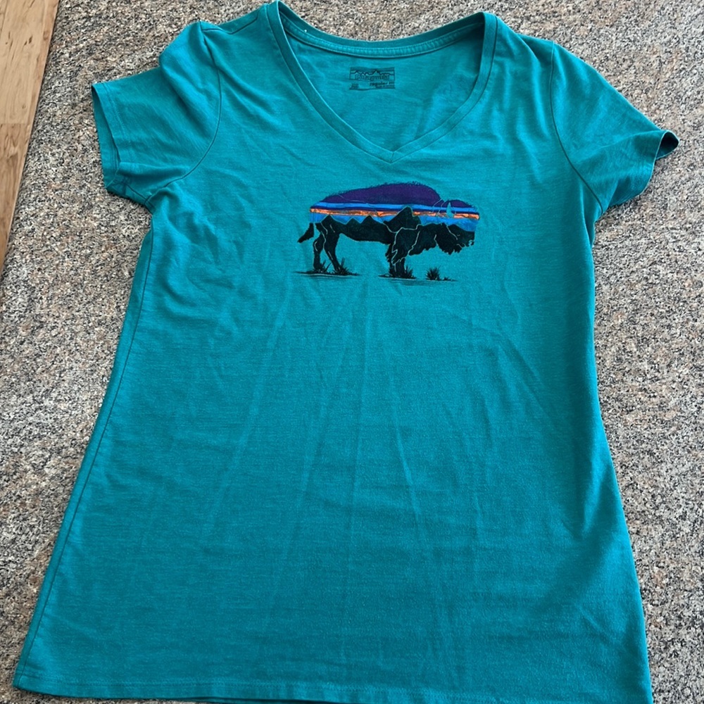 Patagonia T-shirt, size extra small